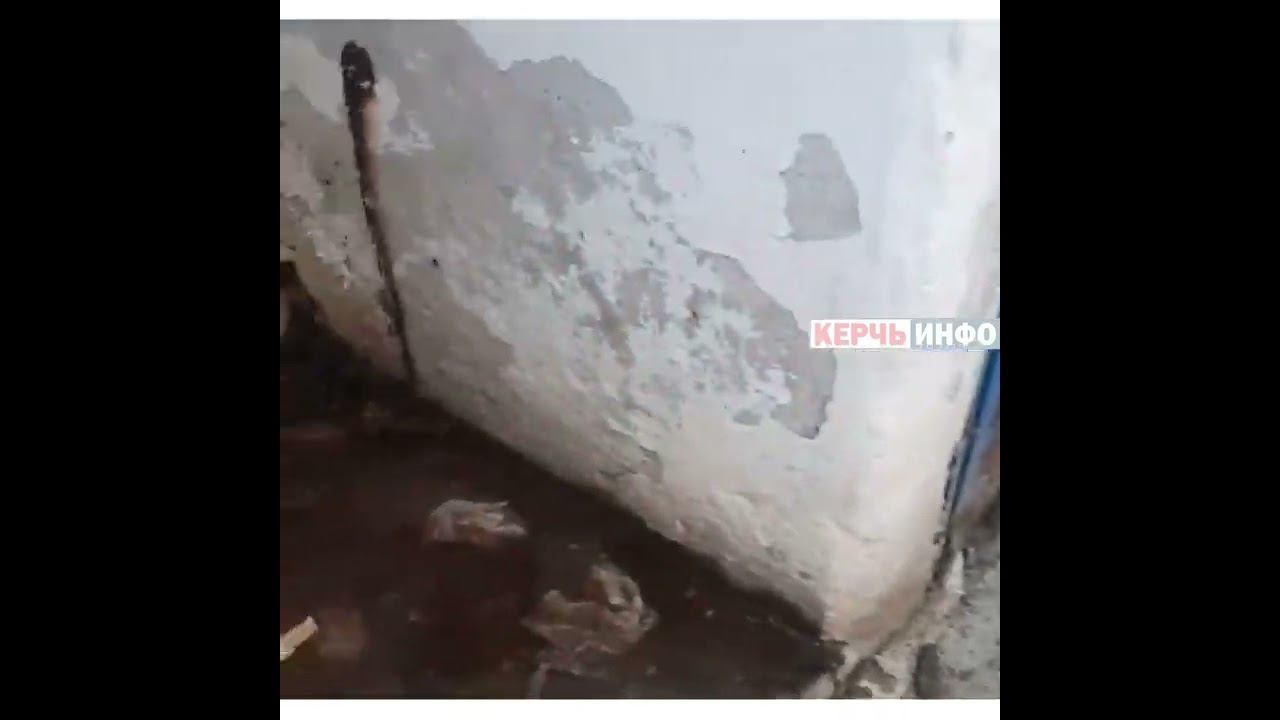 Где на набережной справить нужду? Керчане сняли на видео общественный туалет смотреть онлайн