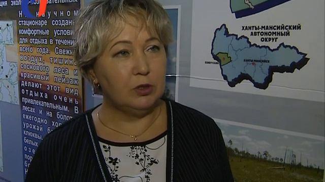 Осторожно: медведь! ТК «Первый Советский». смотреть онлайн