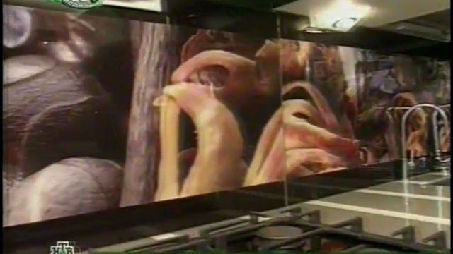 Квартирный вопрос 26.03.11.mp4 смотреть онлайн