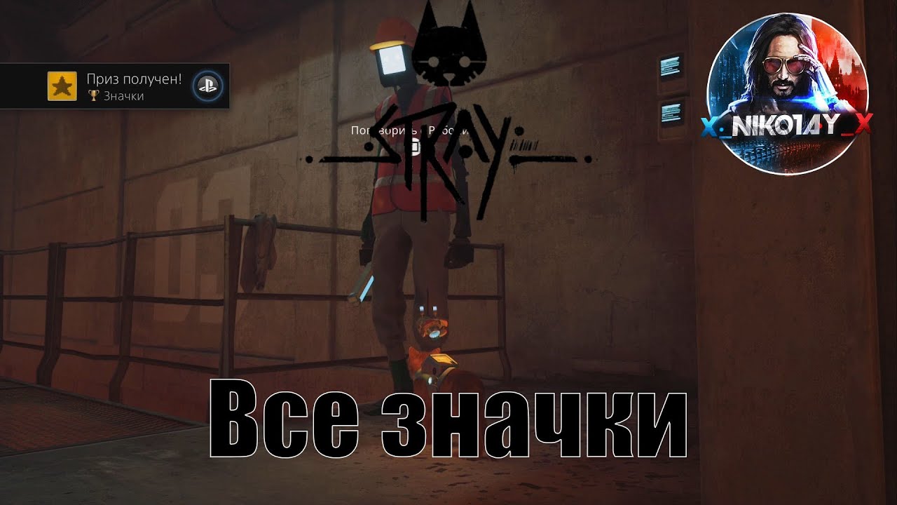 Stray все значки [Badges _ Значки]