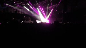 Limp Bizkit - Livin it up solo Wes Borland (Пенза, Дизель-арена 07.11.15)