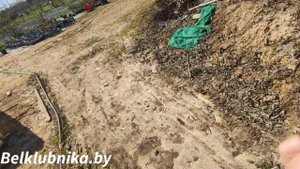 Торф. Что внутри_ Belklubnika.by