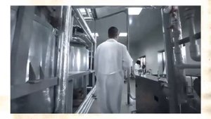 Николаев открыл  скалярное магнитное поле