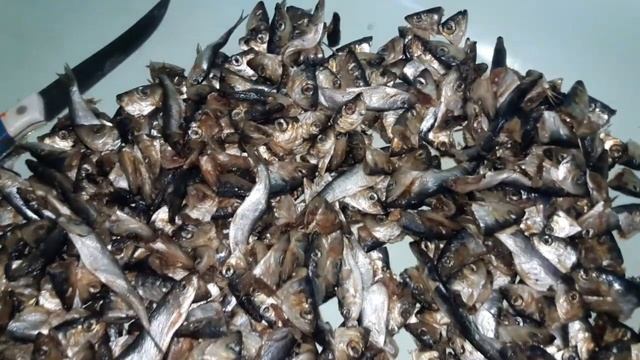 Рыба, рыбные отходы в корме кур, перепелов, кроликов. Заменить рыбную муку. смотреть онлайн