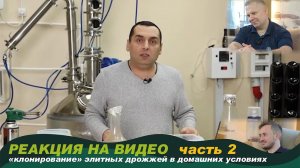 Реакция на видео "Клонирование элитных дрожжей в домашних условиях". Часть 2.