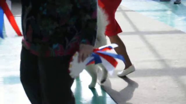 выставка ЧРКФ ХАУС ЗЭ РЭЙНБОУ РИАН ДУША БОГА СЕВЕРА - Мальчишка продается! смотреть онлайн