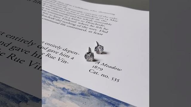 Amaiyllis 925 пробы серебро минималистский cz четыре когти циркониевые серьги гвоздики для пар смотреть онлайн