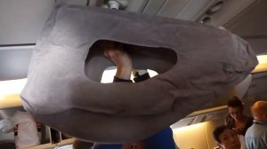 Лайфхак. Как надуть быстро подушку в самолёте.