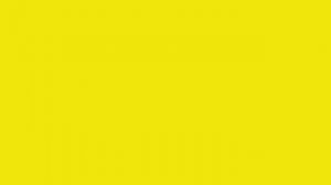 ИГРЫ для КОШЕК, МЫШЬ БЕГАЕТ по ЭКРАНУ, пищит. Мышь для котов видео