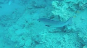 Al Nabila Grand Makadi  Hurghada  Ägypten