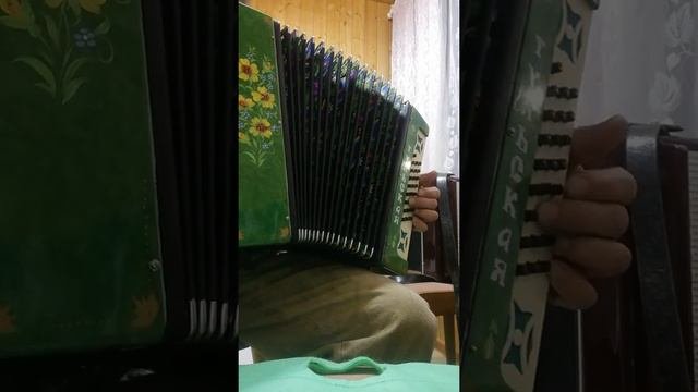 гармонь Тульская 301м