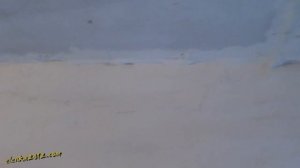 Как я избавилась от пухопероеда и куриного клеща