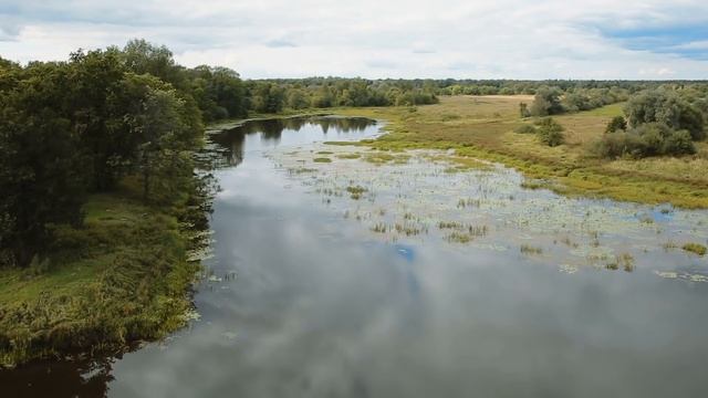 У мужчины волосы на голове ЗАШЕВЕЛИЛИСЬ от того, кого он встретил в этом лесу смотреть онлайн