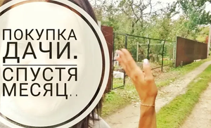 Покупка дачного участка. Обзор участка спустя месяц.