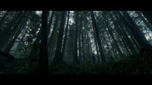 Выживший - обзор фильма