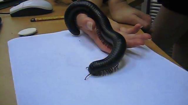 4ervyak смотреть онлайн