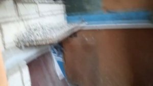 Разведение голубей в домашних условиях. Голубятня на балконе в Виннице.