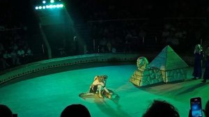 Тропик шоу. Цирк. Луганск. 29.10.2023