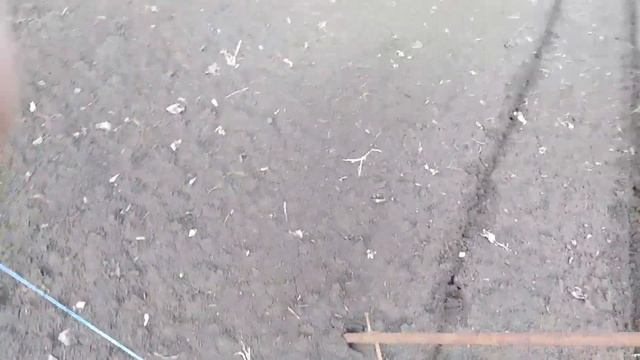 Маркер. Как расчертить свой участок под посадку смородины.