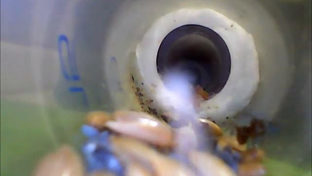 Усики смотреть онлайн