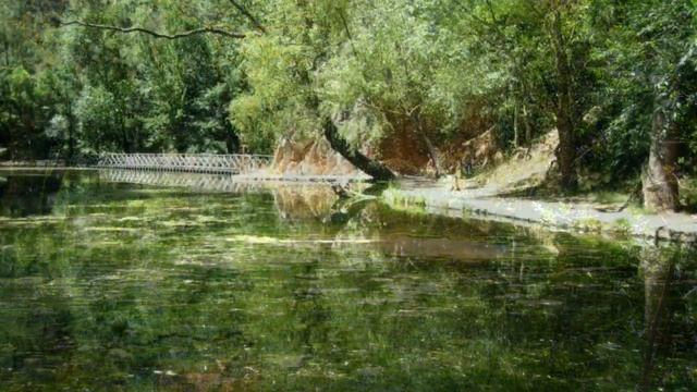 О если б ты могла хоть на единый миг... Алексей Толстой (слушать) смотреть онлайн