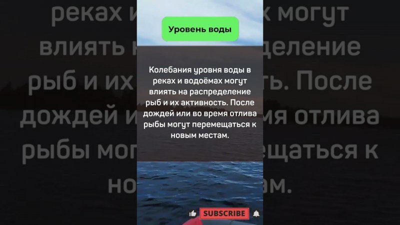 ПРИЧИНЫ, влияющие на КЛЁВ!#fishing #рыбалка #рыбалкасдимономкруглыйгод #природа #прикормка