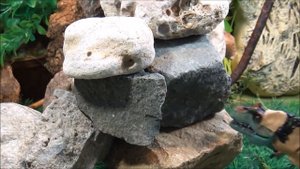 ЭКСПЕРИМЕНТЫ НАД ДИНОЗАВРОМ. Объект №567. Сражение за Долину Динозавров. ВОЖАК РАНЕН