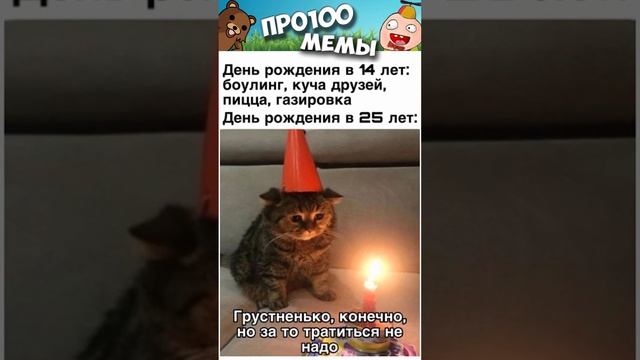 Мемы и приколы с озвучкой #мемы #коты #приколы #shorts #угар #мемыпро100 #коты #кошки