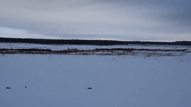 Огнеметчики