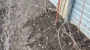 Обзор огорода и проведенных работ на проекте Суворова. 05042023.