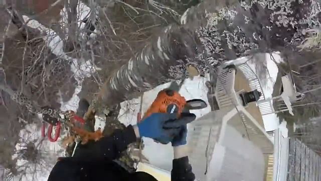 Удаление деревьев на участке смотреть онлайн