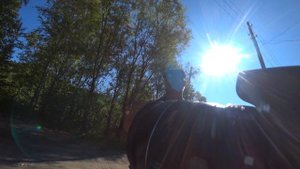 Пионерск 2 часть Курагинский район. 08. 10. 2022 год.