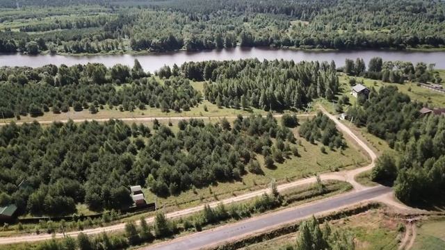 Поселок Карповское. Участки на Волге в сосновом лесу.