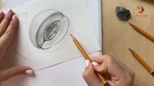 Рисуем Спелую Дыню Простым карандашом за 30 Минут!