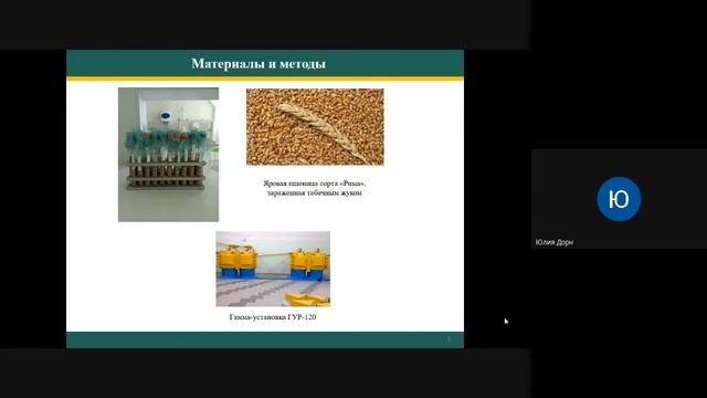 Оценка влияния гамма излучения на радиочувствительность зернового точильщика смотреть онлайн