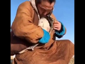 Доверься Великому Отцу, и Он будет носить тебя на руках, как пастух ягнят...