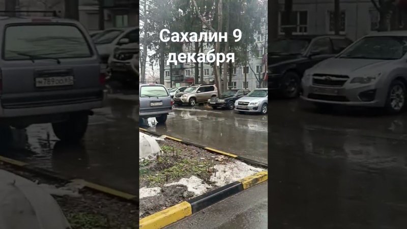 Погода на Сахалине в декабре