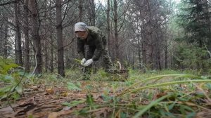 6 соток 1 августа 2024 года. Хроника.