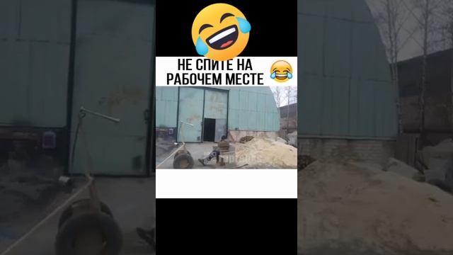 Спит на рабочем месте