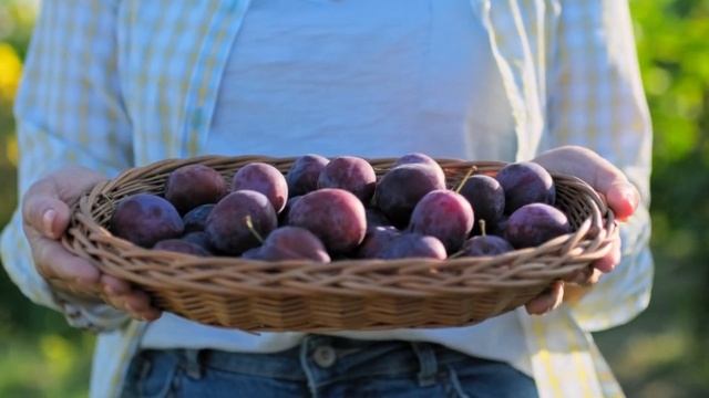 90% людей даже НЕ ПРЕДСТАВЛЯЮТ, ЧТО на Самом Деле ТВОРИТ СЛИВА смотреть онлайн