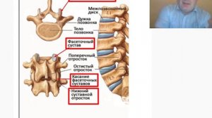 жалобы на медиков на этапе лечения, расследование — на примере ст 66