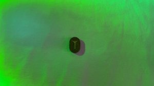 Руническая медитация. РУНА АЛЬГИЗ.