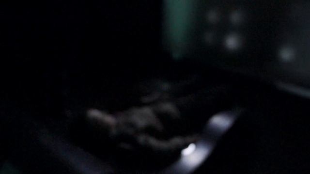 Политехнический музей на ВВЦ смотреть онлайн