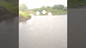 Очистка Заросшего водоема.