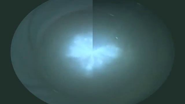 Солнцецветы -- Огурец жизни 2.mpg смотреть онлайн