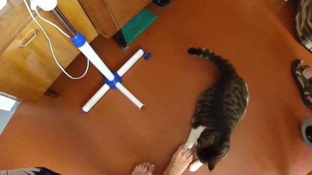 Не СМОГЛА удержаться - НАКУПИЛА всего / Цены в ЛНР на ОВОЩИ / Привет из Самары ?