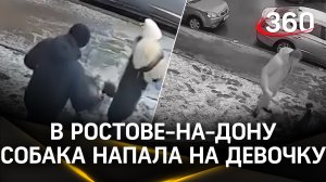 Видео: Нападение стаффорда на девочку в Ростове-на-Дону