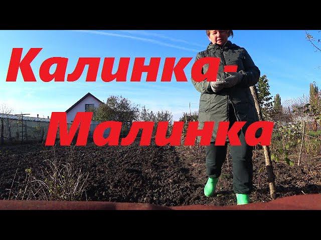 Дневные и ночные гульки по станице)  Мне манты, супругу-пельмени