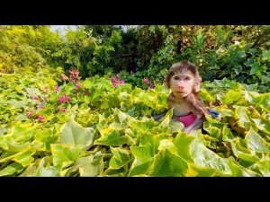 Ангелине и Люсе  вместе ОЧЕНЬ ВЕСЕЛО гулять!