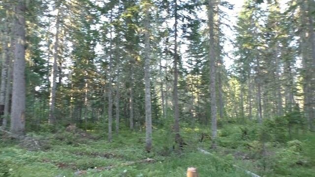 13 Серия Лайфхаки в Тайге Подставка под Жердь, ОртопедическийМатрац из Поленьев, Костер